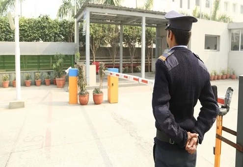 Training Image